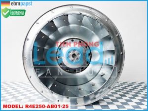 Quạt hút Dunli YWF.A4S-250S-5DIIIA00, 220VAC, 250mm  